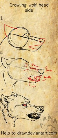 Drawing wolf angry 40+ Ideas