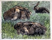 Lisa Hooper - Hares At Stairhaven-Linocut