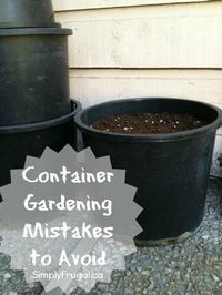 Container gardening mistakes to avoid