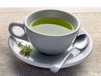The 8 Best Green Teas of 2021, According to a Dietitian