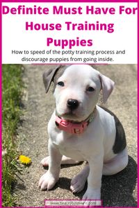 Definite must have for house training puppies. I purchased this back in 2017 and it's been in my house ever since. Perfect for dogs and puppies. Quickly cleans the area, sanitizes, and deodorizes so dogs aren't tempted to go in the same area. This has made potty training a breeze! Learn how to properly clean up after your dogs. #pets #dogs #puppies #pitbulls #Pitbullpuppies