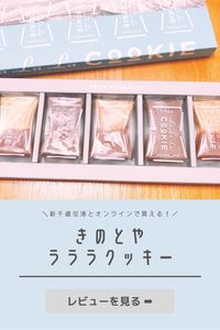 リンク先では、くわしいレビューと買える場所などをご紹介しています。