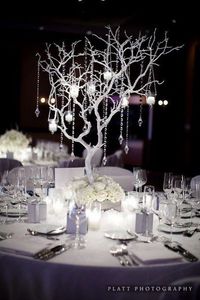 awesome winter wedding themes best photos