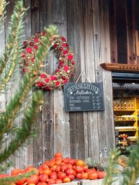 Weihnachten kommt, auch auf dem Seegräbner Hof.