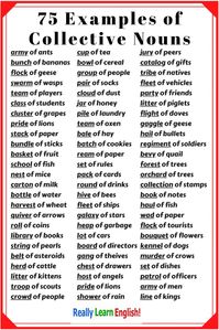 75 Examples of English Collective Nouns Collective nouns are nouns that describe a group, for example: class, family, herd, couple. These can also be called group nouns. There are about 200 collective nouns in English. When we use collective nouns, we often say "a group of ________," such as a herd of cattle or a clump of grass. But many collective nouns can also stand alone; for example, "We moved the herd to the new field." #collectivenouns #esl #ell #teachingenglish #reallylearnenglisoh