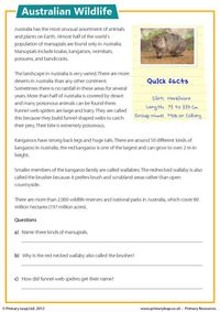 PrimaryLeap.co.uk - Reading comprehension - Australian Wildlife Worksheet