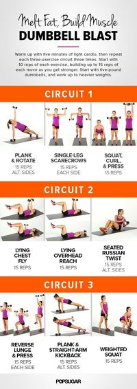 Add dumbbells to your fitness routine and build some metabolism-boosting muscle while toning your entire body. No muscle is left untouched. The more often and consistently you lift, the more you will be able to lift!