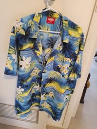One of the more recent ones I was able to purchase, here we see my 4th Tropical Shirt with a Blue background, featuring various tropical aspects.