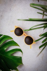 Fotografía de producto de las gafas de sol Twins Optical