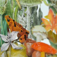 Clare Celeste Börsch Ecologies III, 2018 Detail Layered collage in glass, metal stand www.clareceleste.com