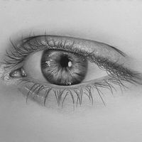 How to Draw what you See: Techniques and Tips to Improve your Drawing Skills - EmptyEasel.com