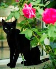 In the greenhouse