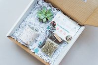 virtual blogger event. Succulent planting workshop kits