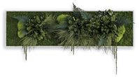 Great prices on unique indoor plant wall decor frames with FREE shipping. 100% hand built of real plants. No need for maintenance to stay evergreen.