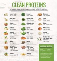 You don't need a dead animal to get your protein.