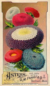 Vintage Seed Packet Clip Art - Invitation Templates DesignSearch Results for “vintage seed packet clip art” – Invitation Templates Design