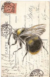 bumbleLR | Flickr - Photo Sharing!