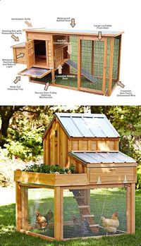 Chicken Coop - Building a chicken coop does not have to be tricky nor does it have to set you back a ton of scratch.Making the decision and discovering how to build backyard chicken coops, will be one of the best-made decisions of your life.Say hello to free fresh organic eggs daily!Now greet that high-quality fertilizer for your garden!Show off your Master Craftsmen side with easy-to-follow chicken barn plans so you can build the perfect backyard chicken coop. Building a chicken coop ...