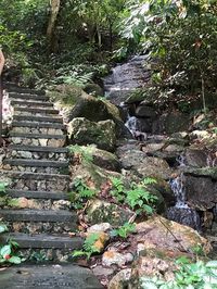 Tropical Spice Garden (Penang Island) - 2019 All You Need to Know BEFORE You Go (with Photos) - TripAdvisor