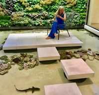 LA's New Shark House: How I'd Spend an Extra $35 Million