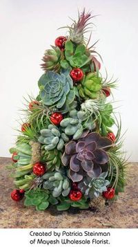 Succulent Tree