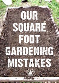 Square Foot Gardening - our favorite method of managing a garden in a small suburban landscape. But we did make a few mistakes along the way. Learn from our mistakes before you tackle your garden!