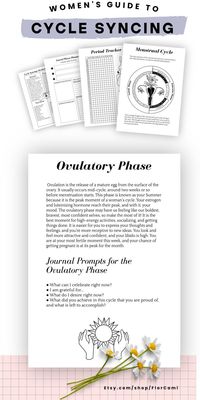 This guide includes a period tracker, a planner, journal prompts, and a lot of cycle syncing tips to help you to adapt your diet, workout routines, productivity and social calendar to enjoy all the benefits of cycle syncing. Learn about your cycle and its phases (menstrual phase, follicular phase, ovulatory phase, luteal phase). Cycle Syncing Planner, Cycle Syncing Journal, Period Tracker, bujo ideas, schedule