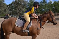 Horse Riding Exercises, Establishing The Lower Leg.