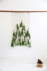 alternativa para tu árbol de Navidad #Navidad #arboldenavidad #arboldenavidadalternativo