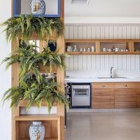 28- A divisória com nichos tem samambaias para separar os ambientes. Fonte: Pinterest #samambaia #samambaiaspenduradas #samambaianasala