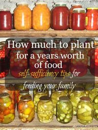 Learn how much you need to plant in order to have enough food to feed your family for a year.This planner is AWESOME!!!!!