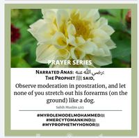 Prayer Series #Allah #Quran #hadeeth #sunnah #quranverse #quranquotes #muslim #islam #islamicquotes #dua #islamicreminders #muslimpins #SubhanAllah #Alhamdulilaah #Bismillah #Islamicpins #islamicinfo #tawheed #aqeedah #tawakkul #taqwa #salafy #salafi #salafiyyah #manhaj
