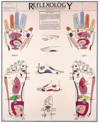 Reflexologists believe that there are reflex points in the hands and feet that correlate to every organ and body part.