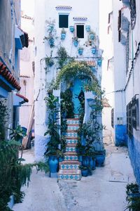 The Nutshell Guide to Chefchaouen, Morocco - Bon Traveler