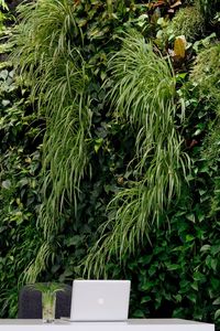 We offer a wide variety of living wall systems to suit your home and office needs. Check out more of our projects by following the link. #mobilegreenwall #mobilelivingwall #greenwall #homedecor #livingwall #indoorgarden #greendesign #officespace #wall #ginkgosustainability #environment #sustainability #biophilia #biophilicdesign #wellness #wellbeing #interiordesign #ginkgosustainability #greenery #architecturedaily #greenwalls #ginkgo