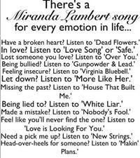 Miranda's country music are the best! #countrymusic #song #mirandalambert