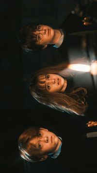 𝑻𝒉𝒆 𝑮𝒐𝒍𝒅𝒆𝒏 𝑻𝒓𝒊𝒐 • harry potter | Images harry potter, Harry potter, Animaux harry potter