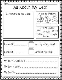 Develop literacy, math, and science skills by studying leaves this fall with this unit. These activities will encourage your students to examine, compare, write about and draw leaves. Please find included: ** All About My Leaf Page *** ** I Can Compare Leaves** (Compare your