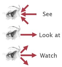 Diferenças entre "See", "Look" e "Watch" em inglês