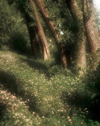 THEMES ( OPEN !! ) - SMALL MOUNTAIN THEME - Wattpad
