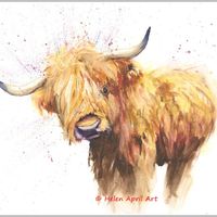 A giclee print of Highland Cow by Helen April Rose made with the finest materials.