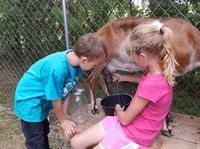 "4 Reasons to Drink Goat's Milk" Not many people in our sphere of influence drink goat’s milk so we have a great opportunity to educate those we come in contact with about the benefits. These are our 4 main reasons why we drink goat's milk. From MOTHER EARTH NEWS Magazine