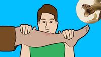 First aid response video for snake bite