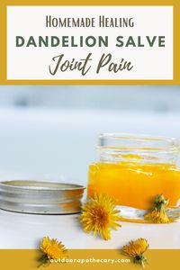Learn how to make this dandelion salve recipe using foraged dandelions! This homemade herbal salve is especially good for sore muscles, joints, and dry skin. dandelion remedies, medicinal plants, herbal remedy, natural remedies, natural remedy