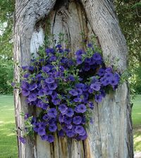 Here's a clever container idea.