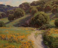 California poppies