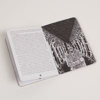 A Brief History of Book Illustration | Literary Hub