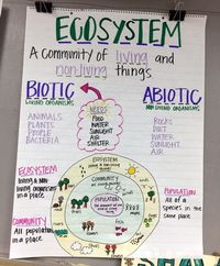 Sustainability and Recycling Anchor Charts to Use in Your Classroom