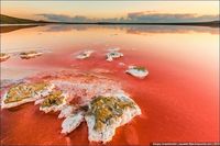 sivash-salt-lagoons-6