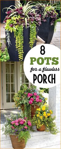 8 Pots for a Flawless Porch. Gardening at it's finest. Colorful flower pots and succulent displays for a summer porch.